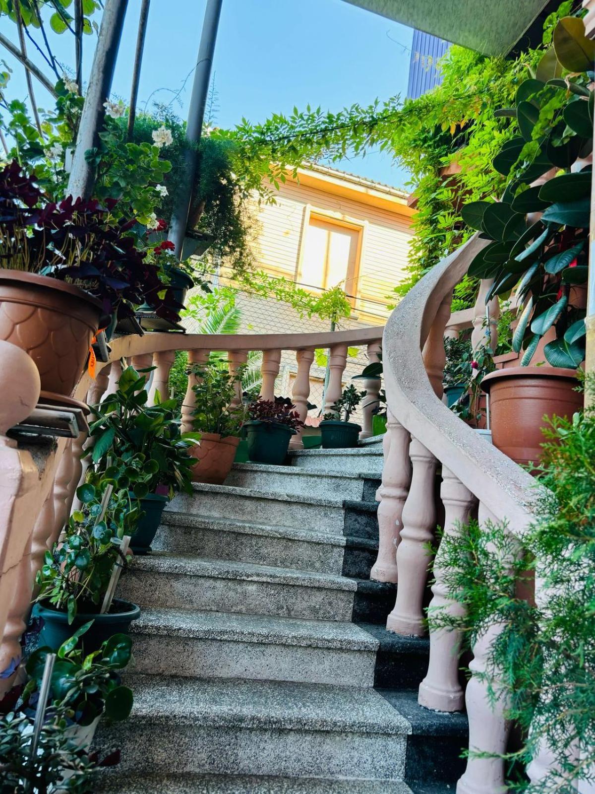 Nikas Guest House Batoumi Extérieur photo